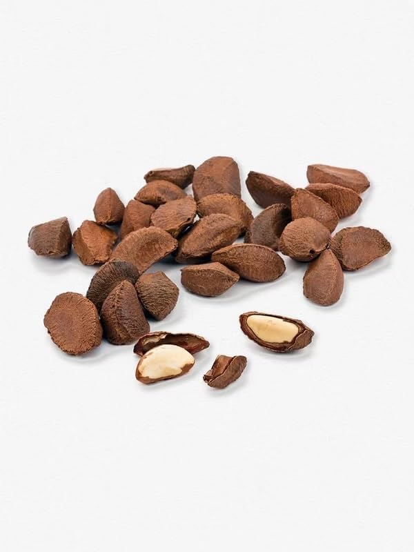 Wild Bird Food